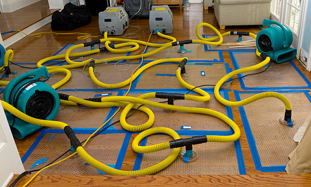 Professional Burst Pipe Water Damage technician working in Clarksville, OH